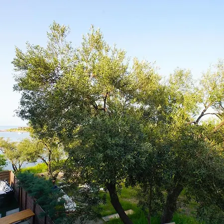 ホテル Qcunda Ayvalı