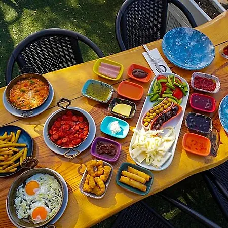 Qcunda * Ayvalı