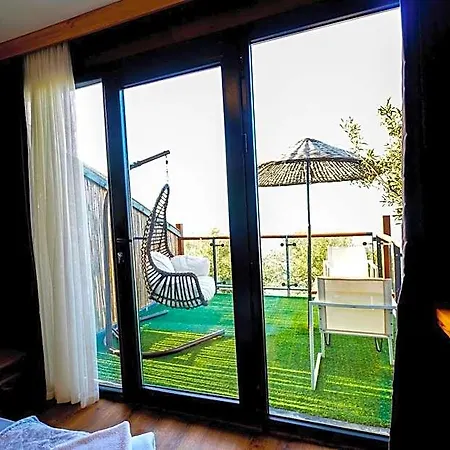 Qcunda Ayvalı