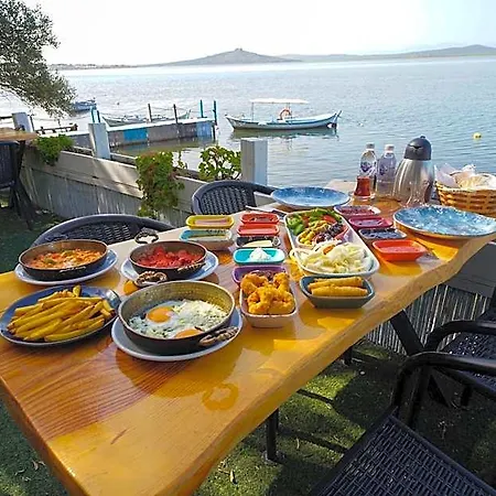 Qcunda Ayvalı