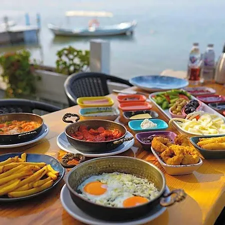 酒店 Qcunda Ayvalı