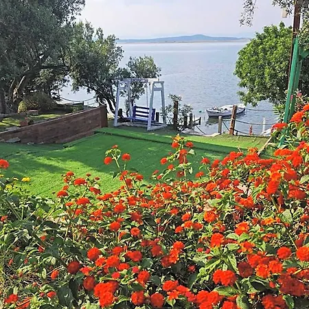 Qcunda * Ayvalı